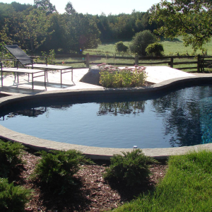 planting-and-deck-at-pool-2x13