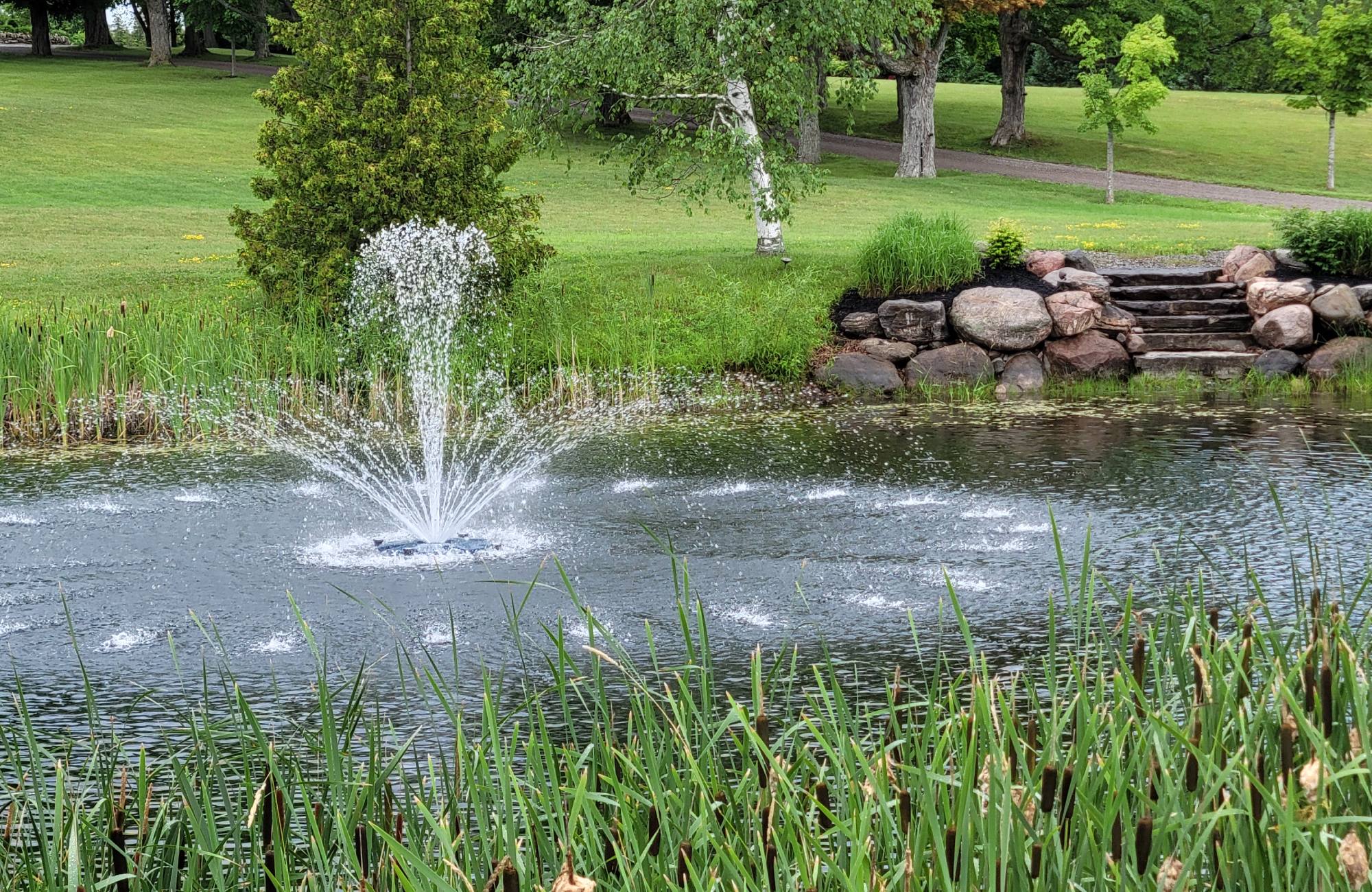 Water Features