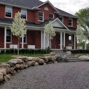 beautiful_landscaping