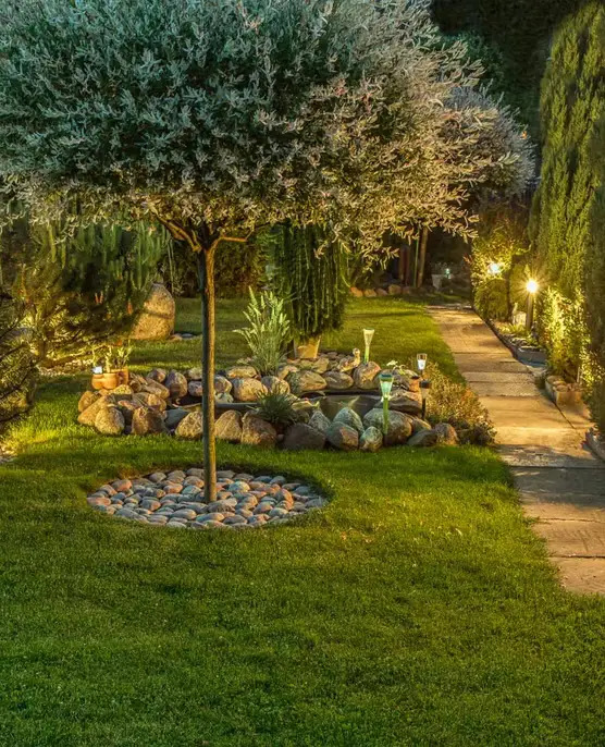 Professional Landscaping