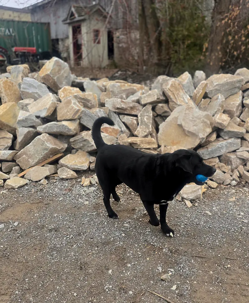 Great Landscapes by Hubble Landscaping