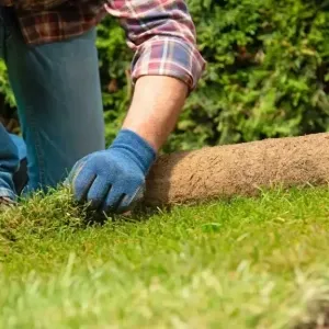 sod-rollling1