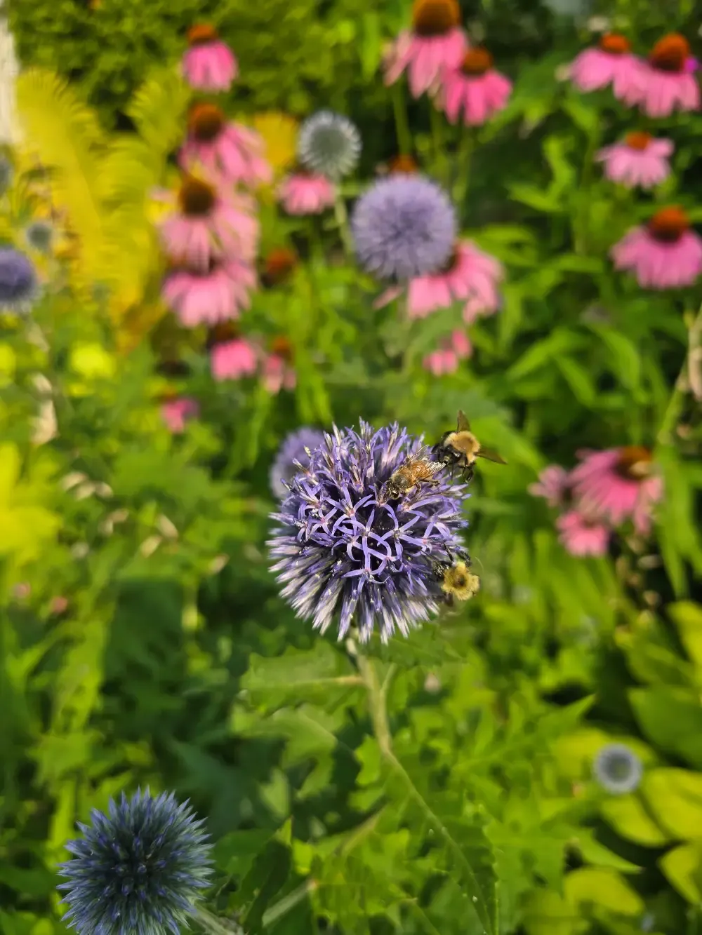 Flower Bed Planting